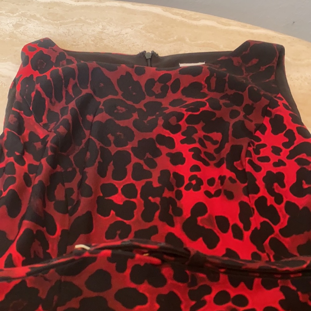 Cache. Elegant Dress. Size 4. Never Use No Tag. S… - image 3